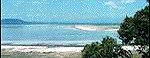 Nyanza Small GIF